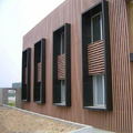 WPC Wall Panel