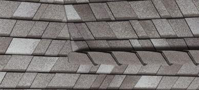 Shingle Roof